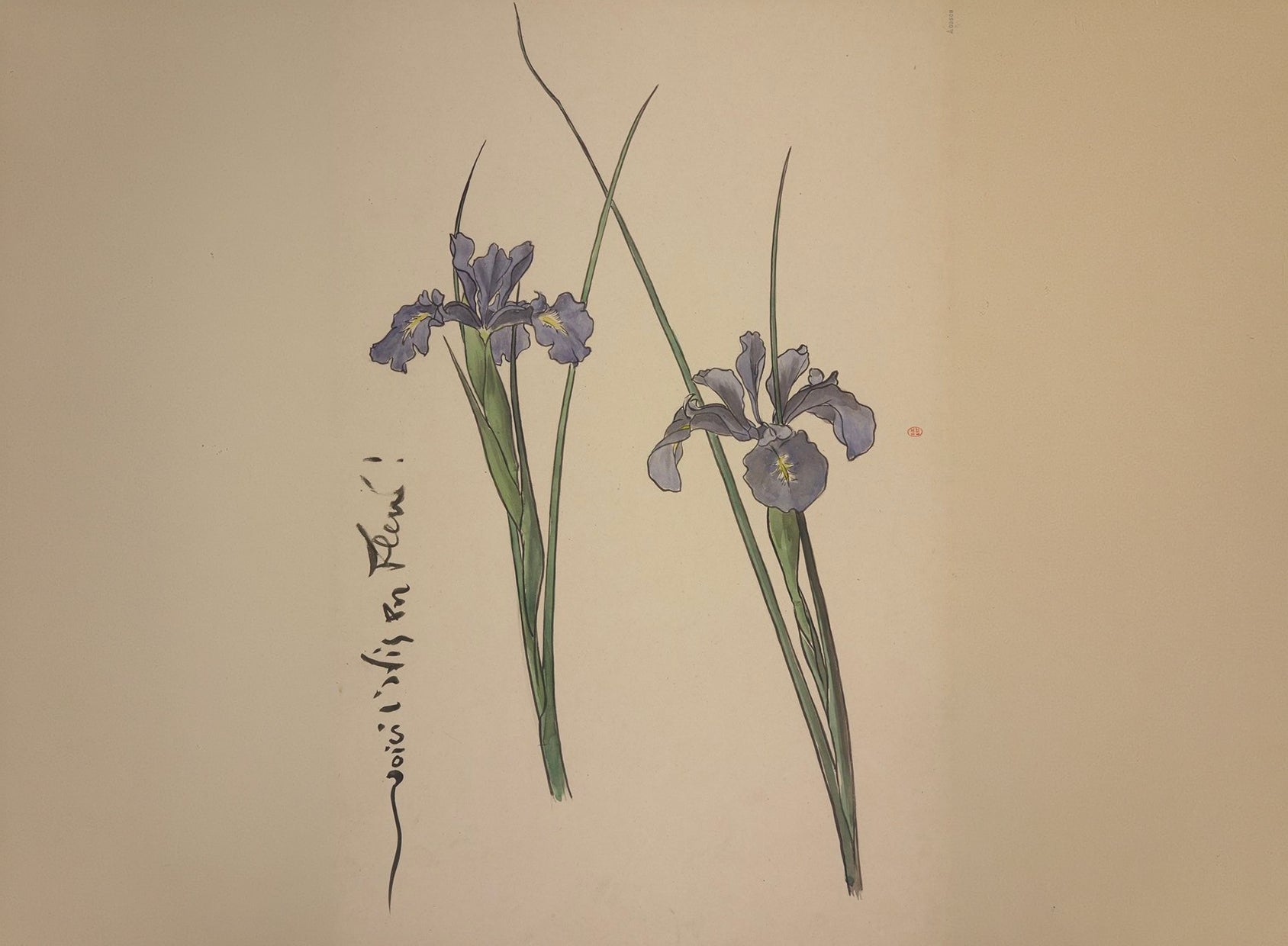 Maltese iris scent | Officine Universelle Buly