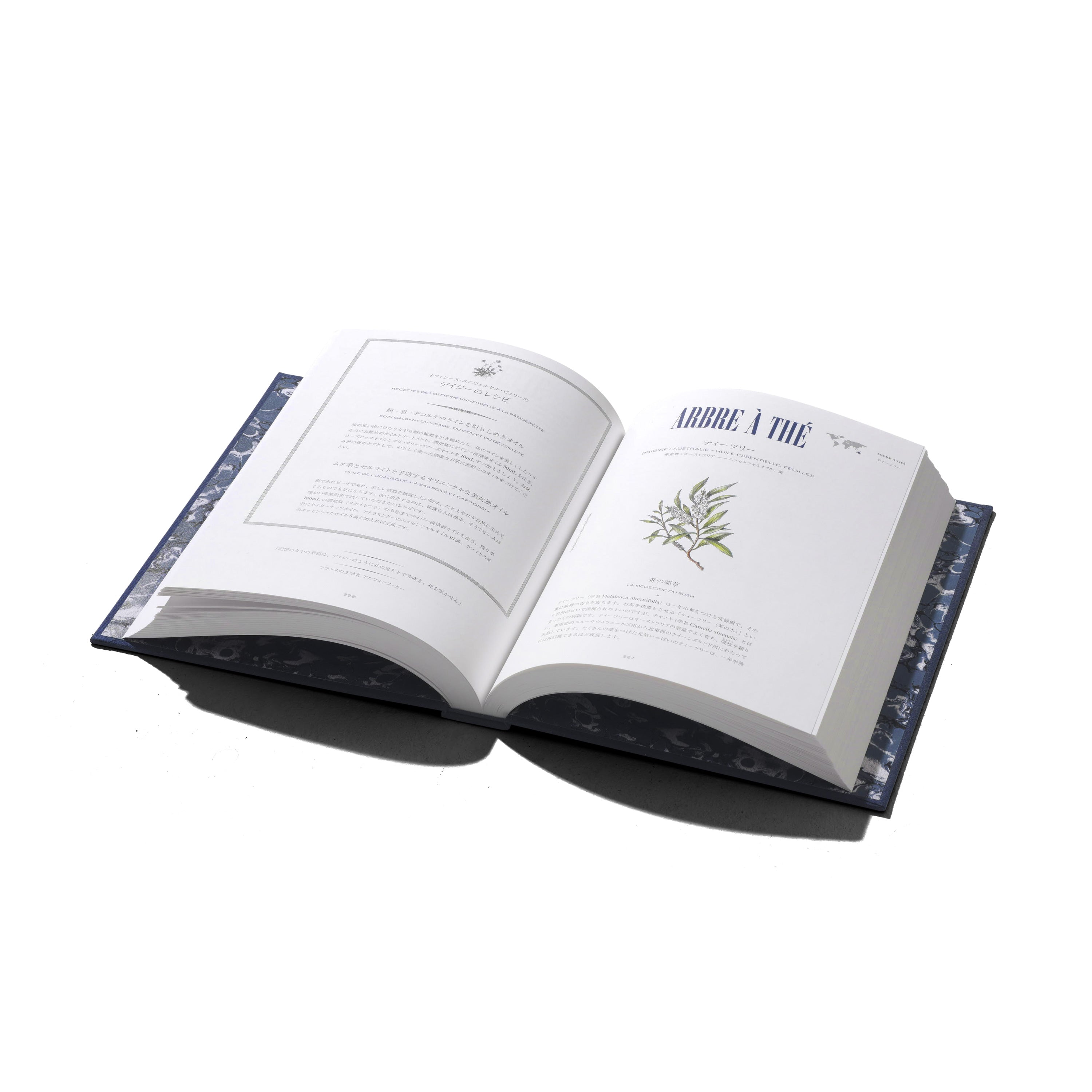 自然派美容の教科書 - Édition Japonaise