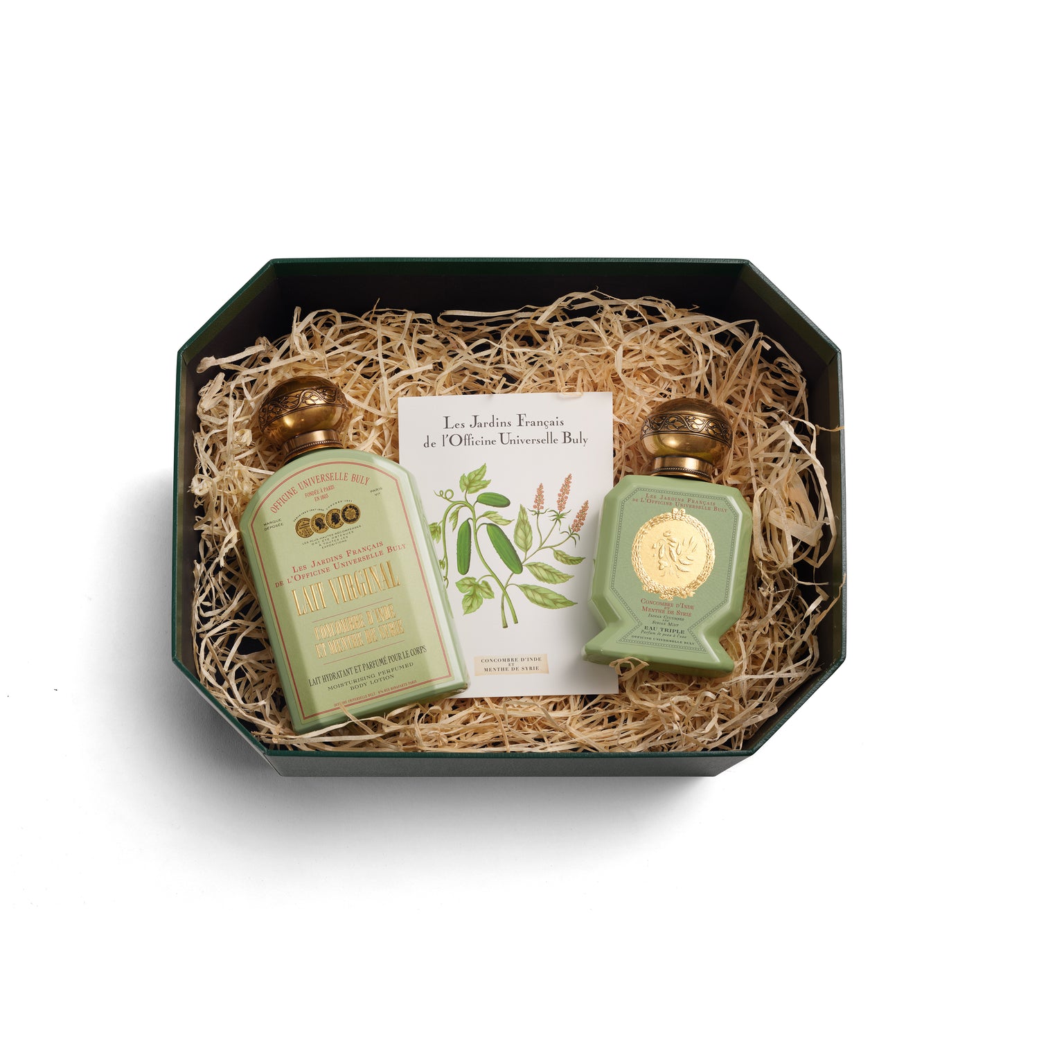 Sire Concombre & Lady Menthe