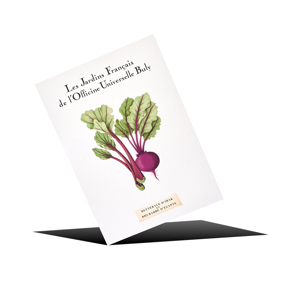 Scented postcard Iraqi Beetroot and Egyptian Rhubarb fragrance