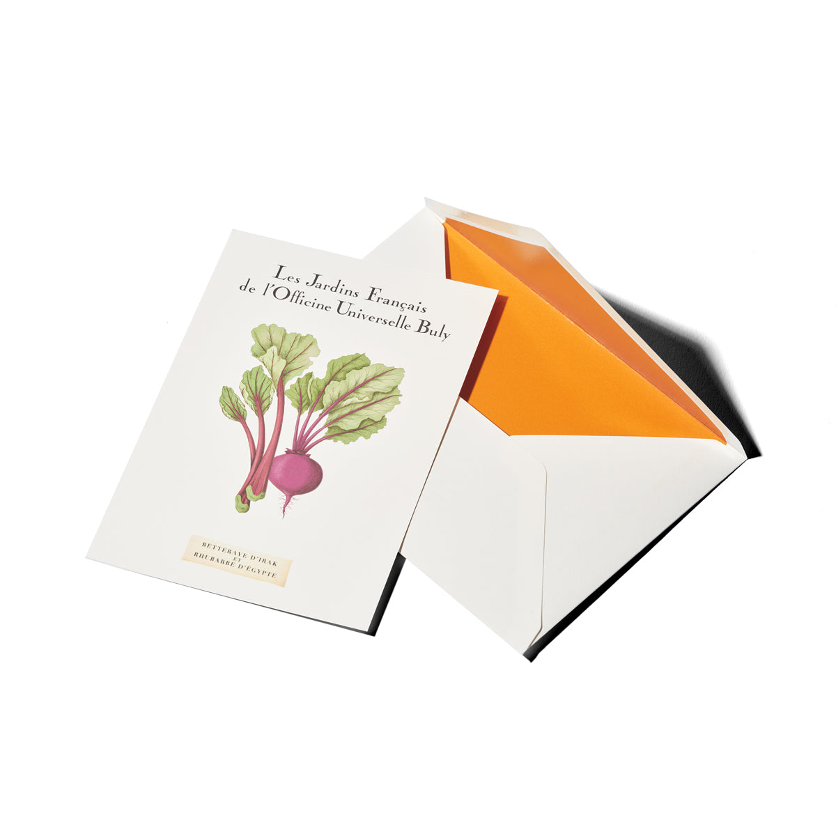 Scented postcard Iraqi Beetroot and Egyptian Rhubarb fragrance