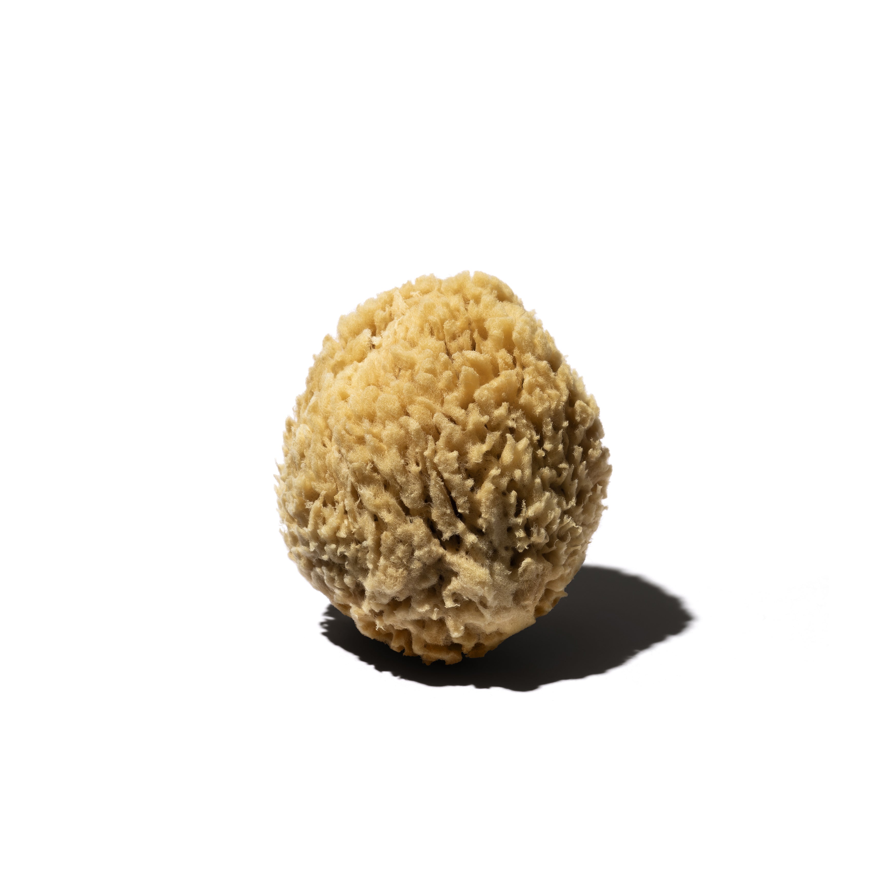 Multi-purpose Greek Sponge For Gentle Bathing And Cleaning Natural Sea  Sponges For Bathing